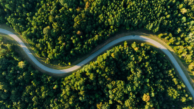 Bild för artikel The Nordic Roadmap for Circular Financing – implementation phase