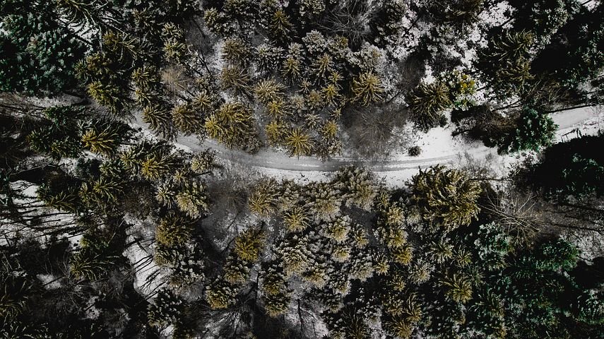 Mer näring till skogen med hjälp av drönare?